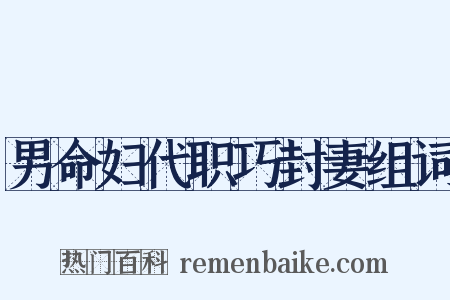男命妇代职巧封妻组词是什么意思的图片